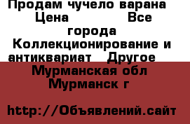 Продам чучело варана. › Цена ­ 15 000 - Все города Коллекционирование и антиквариат » Другое   . Мурманская обл.,Мурманск г.